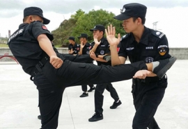 人力香蕉91视频下载性爱APP香蕉视频训练现场